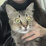(Category: ) located in . Submitted by zeline111 (Listing ID 1427552015, Image 1). Description: .