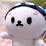 (Kategori: ) berada di . Dikirim oleh dozzenn (ID iklan 1386043866, Gambar 1). Deskripsi: .