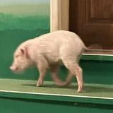 由 ksnkozw (刊登 ID 1374681227，圖片 1) 提交，位於 的 (類別：)，說明：。