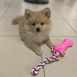 (Category: ) located in . Submitted by laine.bautista (Listing ID 1386300634, Image 1). Description: .