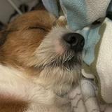 (Category: ) located in . Submitted by makii.declut (Listing ID 1383349069, Image 1). Description: .