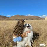 由 Hannah. (刊登 ID 1386014170，圖片 1) 提交，位於 的 (類別：)，說明：。