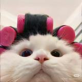 由 xuanzhi_ (刊登 ID 1386372995，圖片 1) 提交，位於 的 (類別：)，說明：。