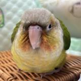 由 ninanian (刊登 ID 1382247510，圖片 1) 提交，位於 的 (類別：)，說明：。