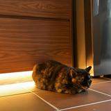 (Category: ) located in . Submitted by fzzh (Listing ID 1386410671, Image 1). Description: .