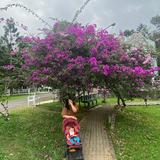 (Kategori: ) berada di . Dikirim oleh intanprelovedstuff (ID iklan 1386661922, Gambar 1). Deskripsi: .