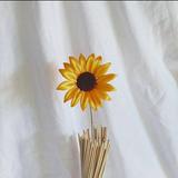 (Kategori: ) berada di . Dikirim oleh sunflowershop_ (ID iklan 1386419037, Gambar 1). Deskripsi: .