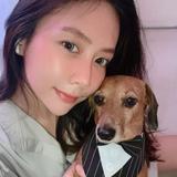(Kategori: ) berada di . Dikirim oleh 7kmolve19697 (ID iklan 1386590879, Gambar 1). Deskripsi: .