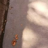 (Category: ) located in . Submitted by carrionyj (Listing ID 1386850688, Image 1). Description: .