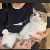由 daisy0127 (刊登 ID 1381375943，圖片 1) 提交，位於 的 (類別：)，說明：。