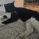 (Category: ) located in . Submitted by gouthamsuresh78 (Listing ID 1439058784, Image 1). Description: .