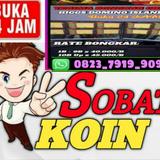 (Kategori: ) berada di . Dikirim oleh ladang_domino_store (ID iklan 1386812496, Gambar 1). Deskripsi: .
