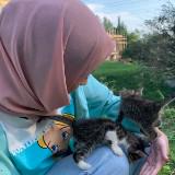 (Kategori: ) berada di . Dikirim oleh arinspreloved (ID iklan 1386923881, Gambar 1). Deskripsi: .
