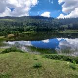 (分類:)位於 。 由 zygmen 提交(商品編號 1454968837,圖片 1)。簡介: 。