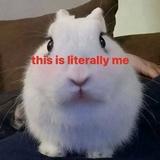 (分類:)位於 。 由 bunnygirlxo 提交(商品編號 1458003442,圖片 1)。簡介: 。