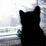 (分類:)位於 。 由 cdm08021626664 提交(商品編號 1444484092,圖片 1)。簡介: 。