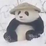 (Category: ) located in . Submitted by fujiwaratofushop (Listing ID 1429941840, Image 1). Description: .