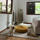 (Category: ) located in . Submitted by klydevincent (Listing ID 1396281815, Image 1). Description: .