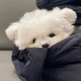 (分類:)位於 。 由 ran888 提交(商品編號 1467721312,圖片 1)。簡介: 。