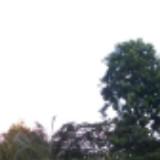 (Category: ) located in . Submitted by pratibhap78197 (Listing ID 1467624773, Image 1). Description: .