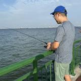 (Category: ) located in . Submitted by eric.li.dong (Listing ID 1428803038, Image 1). Description: .