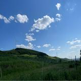 (Category: ) located in . Submitted by shanise_deer (Listing ID 1457211029, Image 1). Description: .