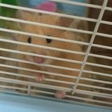 (Category: ) located in . Submitted by omeigawd (Listing ID 1465424484, Image 1). Description: .
