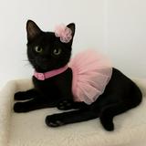 (Category: ) located in . Submitted by rainnybaby (Listing ID 1462795161, Image 1). Description: .