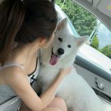 (分類:)位於 。 由 koeymaa 提交(商品編號 1457713151,圖片 1)。簡介: 。