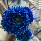(Category: ) located in . Submitted by meerakdas (Listing ID 1446299750, Image 1). Description: .