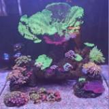 (Category: ) located in . Submitted by tsabar (Listing ID 1211779904, Image 1). Description: .