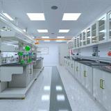 Declutter Lab 喺 Carousell 嘅個人檔案頁面 | Declutter Lab 嘅所有出售物品同評價