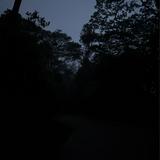 (Category: ) located in . Submitted by azrulhkimii (Listing ID 1406803600, Image 1). Description: .