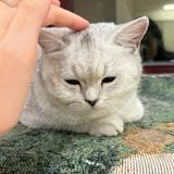 Amanda’s Profile Page on Carousell | All of Amanda’s Items For Sale ...