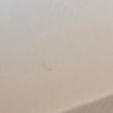 (Category: ) located in . Submitted by aurora512 (Listing ID 1462841538, Image 1). Description: .