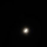 (Category: ) located in . Submitted by positiveapple (Listing ID 1447192446, Image 1). Description: .