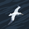(Category: ) located in . Submitted by freedolphin-cfee (Listing ID 1455719918, Image 1). Description: .