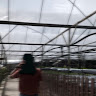 (Category: ) located in . Submitted by cyraa04 (Listing ID 1465855110, Image 1). Description: .