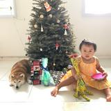 (Category: ) located in . Submitted by sumosummersky (Listing ID 1445266559, Image 1). Description: .