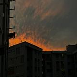 (Category: ) located in . Submitted by singaporean.seller (Listing ID 1444232992, Image 1). Description: .