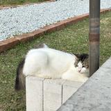 (Category: ) located in . Submitted by frhfrhna (Listing ID 1454432476, Image 1). Description: .