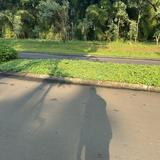 (Kategori: ) berada di . Dikirim oleh prelovedby.magio (ID iklan 1459731927, Gambar 1). Deskripsi: .