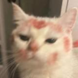 (Category: ) located in . Submitted by arenissss (Listing ID 1445149673, Image 1). Description: .