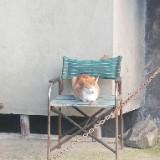 (Category: ) located in . Submitted by loweasel (Listing ID 1451714876, Image 1). Description: .