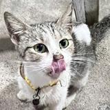 (Category: ) located in . Submitted by jo44201 (Listing ID 1462011171, Image 1). Description: .