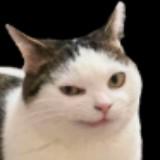 (Category: ) located in . Submitted by sadstick (Listing ID 1456724165, Image 1). Description: .