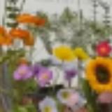 (Category: ) located in . Submitted by wanmasitah.mahmood (Listing ID 1462785583, Image 1). Description: .