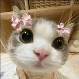 (Category: ) located in . Submitted by salesoverhere (Listing ID 1438994241, Image 1). Description: .