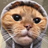 (Category: ) located in . Submitted by safecat-8846 (Listing ID 1459002724, Image 1). Description: .
