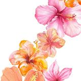 (分類:)位於 。 由 ccassandra.ddumont 提交(商品編號 1439594817,圖片 1)。簡介: 。